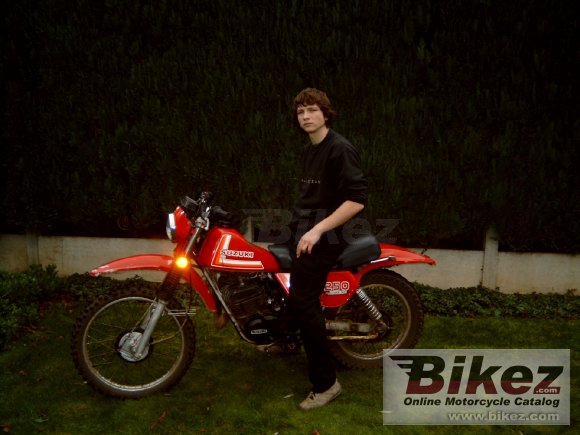 1980 Suzuki TS 250 ER photo